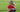 Fashionable woman in a red polo and hat sitting with a golf club on a lush green course.
