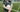 Close-up of a tattooed soccer player holding a ball on an outdoor field.