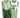 Phantoms Custom Reversible Basketball Jersey - Mens